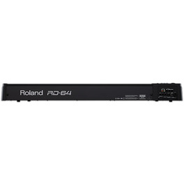 Roland DS-2