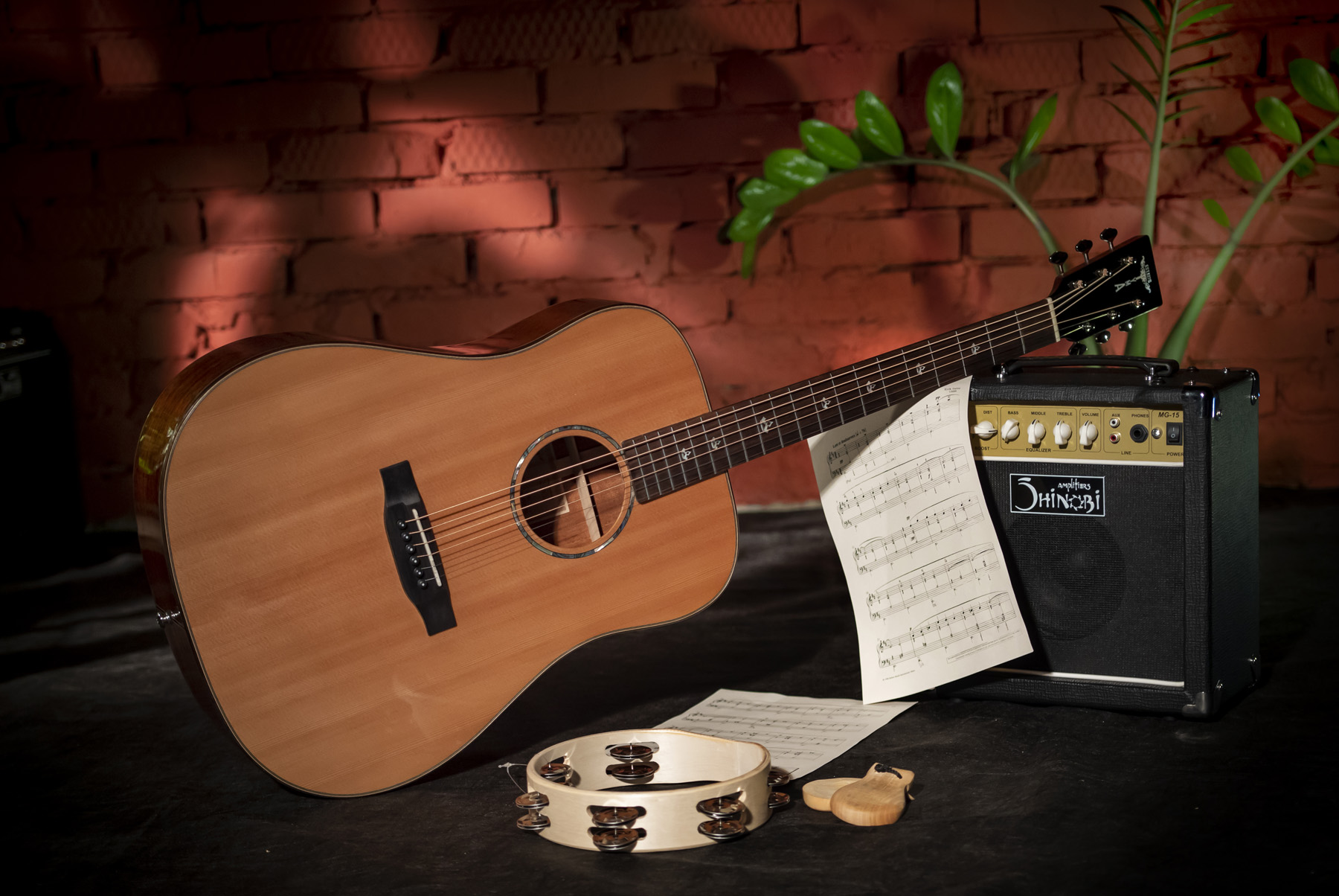 Акустическая гитара TYMA TD-10