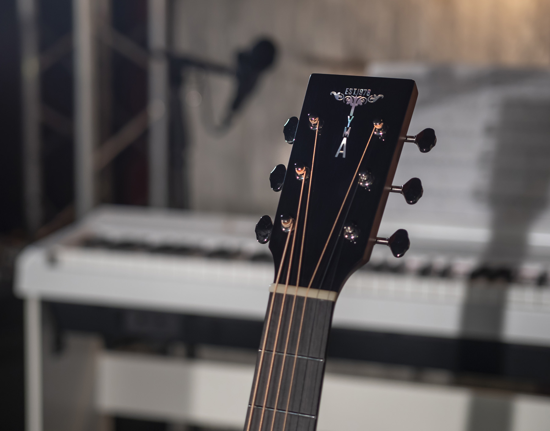 Акустическая гитара TYMA TG-12