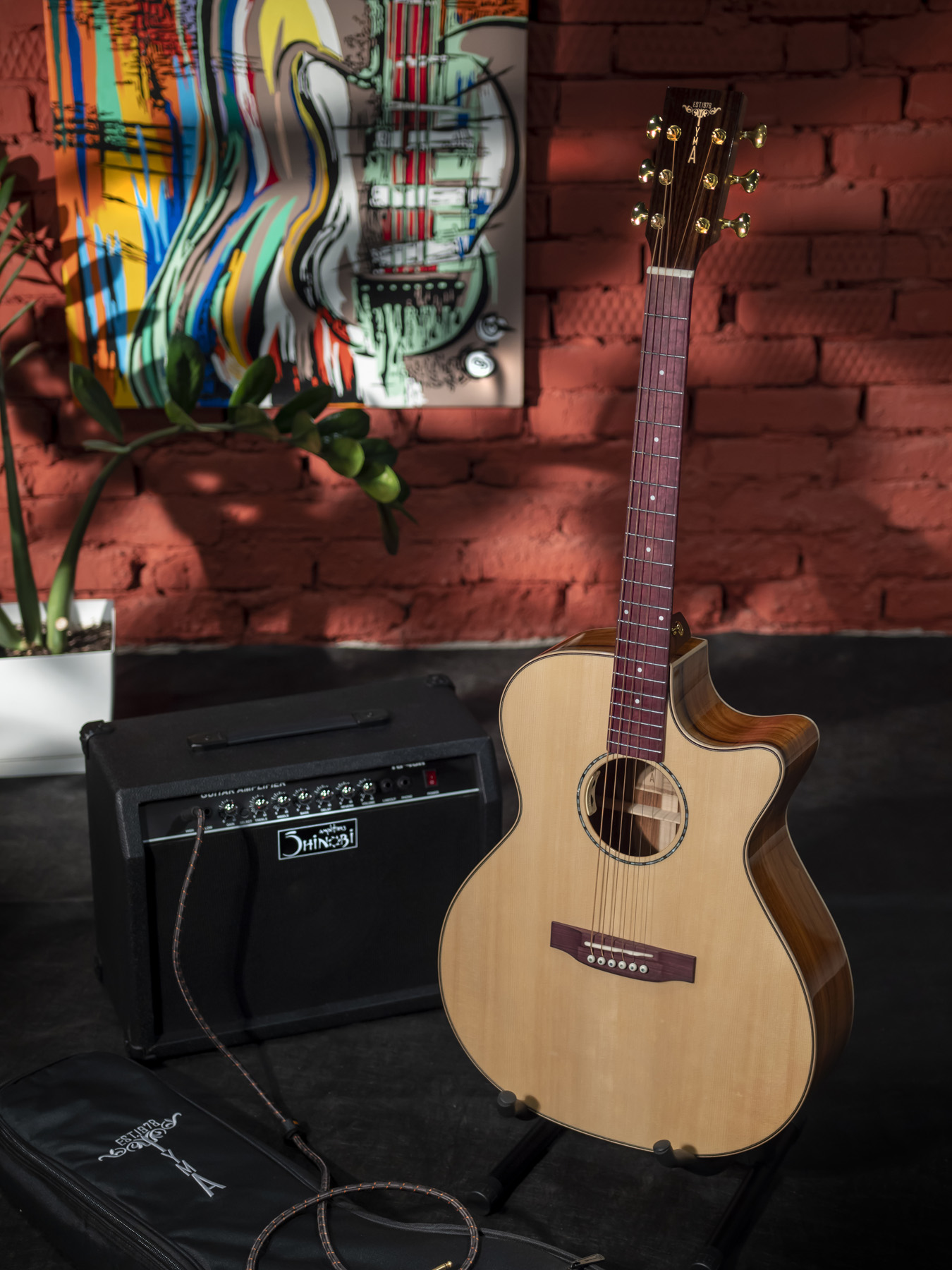 Электроакустическая гитара TYMA G-25E