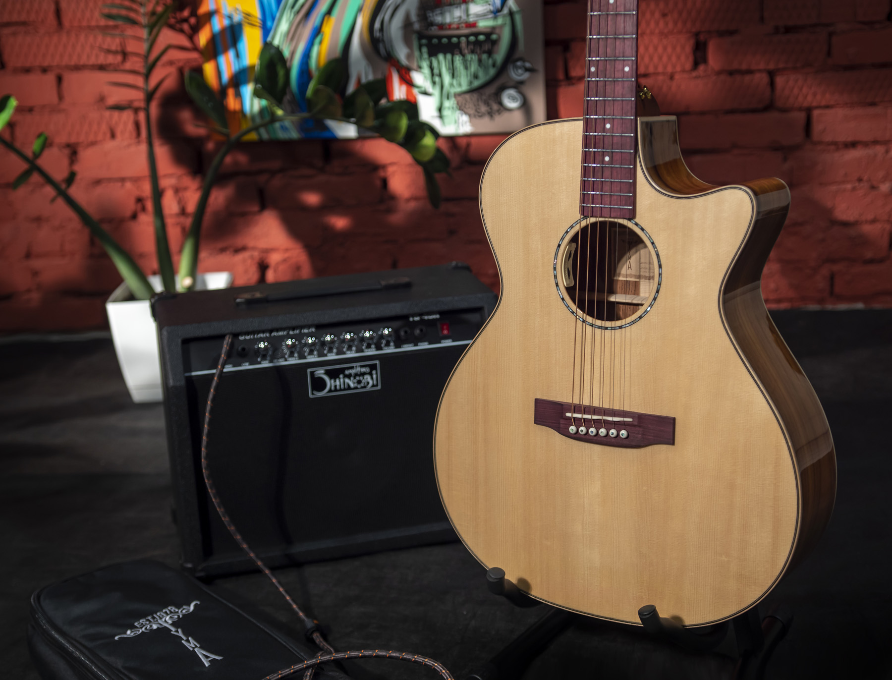 Электроакустическая гитара TYMA G-25E