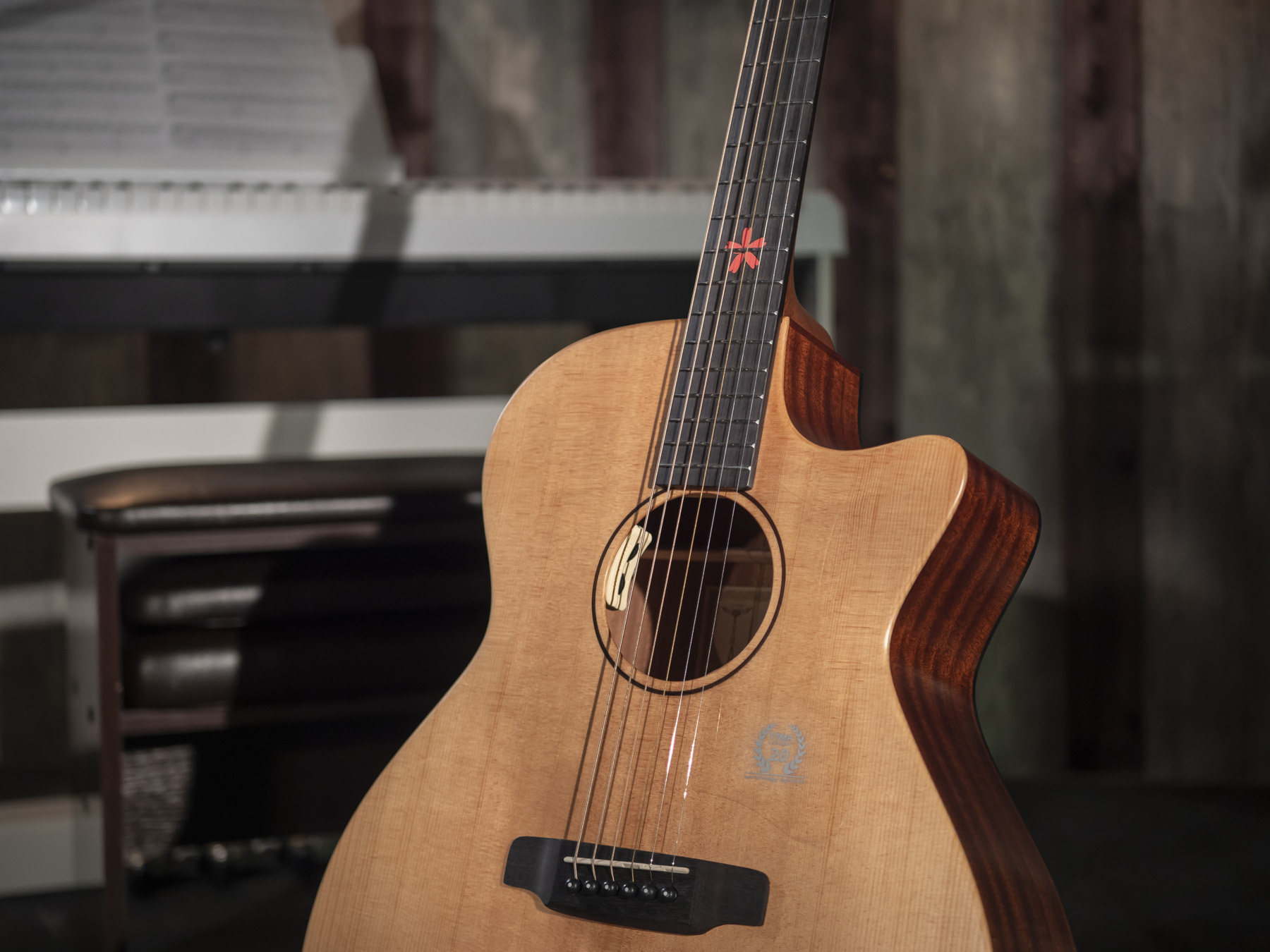 Электроакустическая гитара TYMA TG-5E