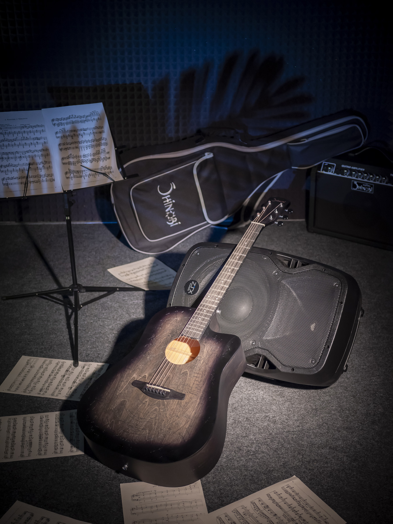 Акустическая гитара Shinobi D-11/TT