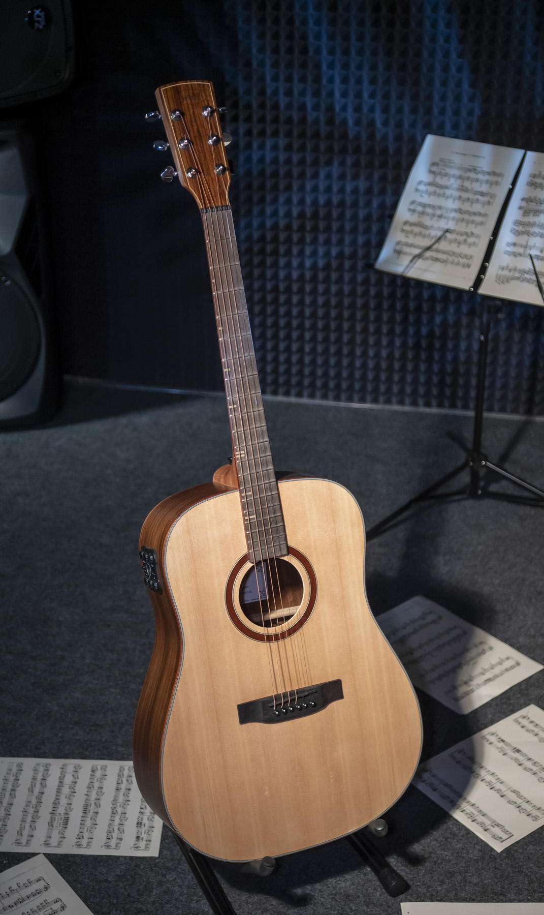 Трансакустическая гитара Shinobi SPA-611TE