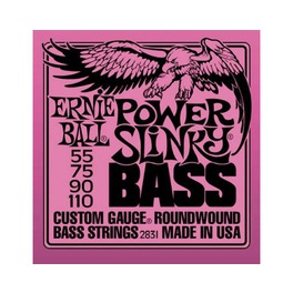 Ernie Ball 2831