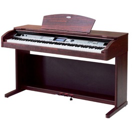 Roland DS-2
