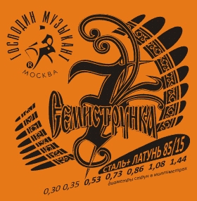 Господин Музыкант R12