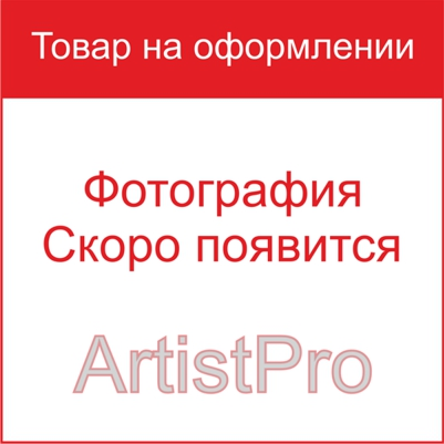 ArtistPro Чехол для гитары ЧГК-1/2г