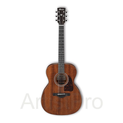 Ibanez ARTWOOD AVC9-OPN