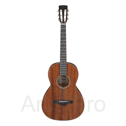 Ibanez ARTWOOD AVN9-OPN