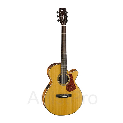 CORT L100F-NS