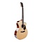 Tyma TG-15 фото 3
