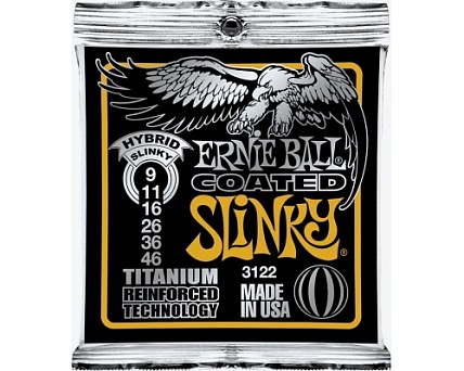 Ernie Ball 3123