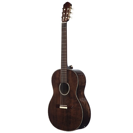 Meridaextrema MC-17ASH