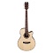 Tyma A2 Custom ZL фото 1