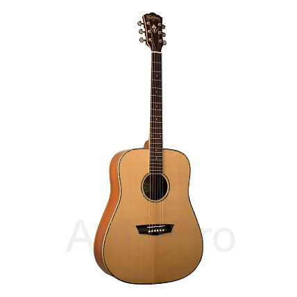 Washburn WD40SCE
