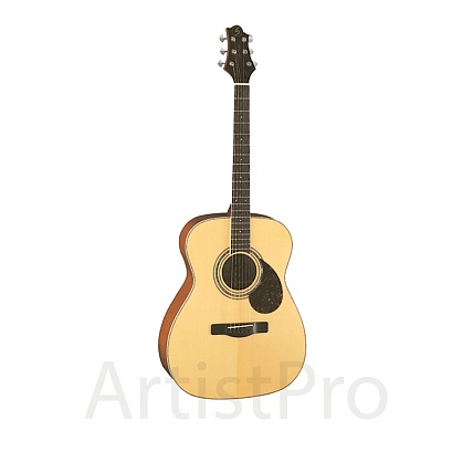Greg Bennett OM5