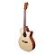 Tyma G-25E фото 1