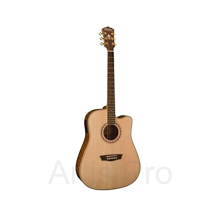 Washburn WD30SCE KIT