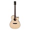 Tyma TG-10 фото 1
