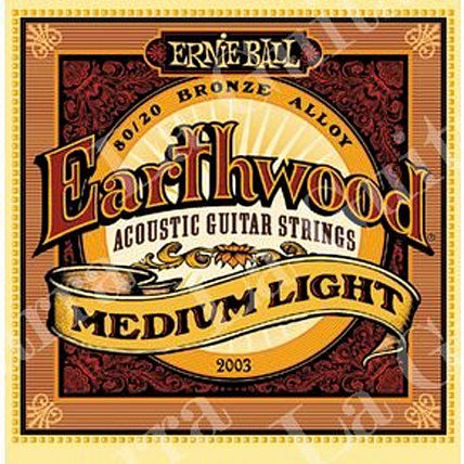 Ernie Ball 2003