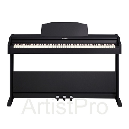 Roland RP102-BK