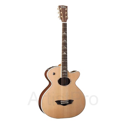 Washburn WB200SCEK