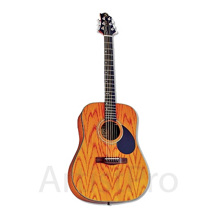 Greg Bennett D4
