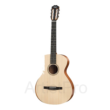 TAYLOR Academy 12e-N Academy Series