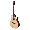 Tyma TG-10 фото 2