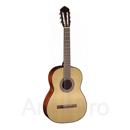 Cort AC100-SG