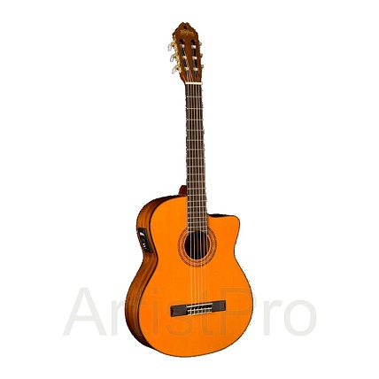 Washburn C5CE