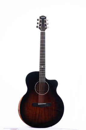 Aion F30 TE