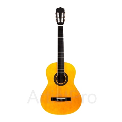 ARIA FIESTA FST-200 N