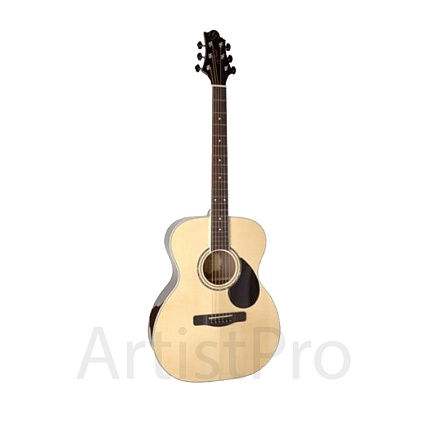 Greg Bennett GOM100S/N