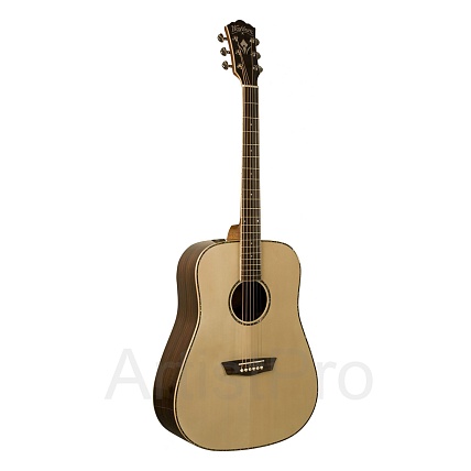 Washburn WD025SCE