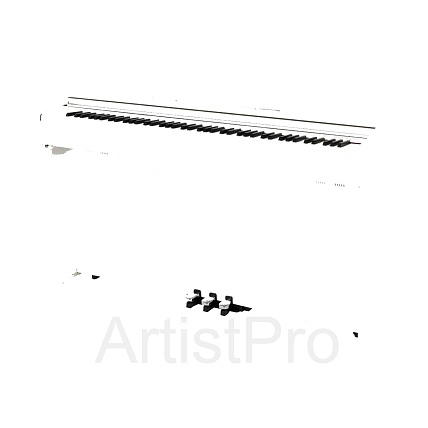 Casio Privia PX-770WE