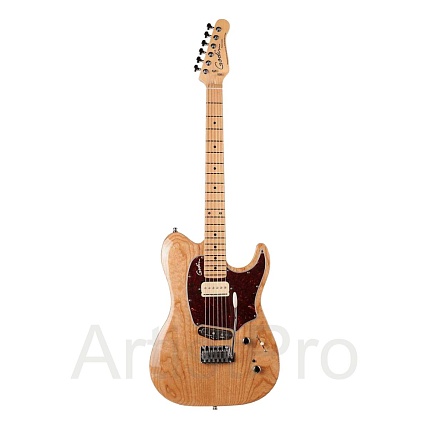 Godin Passion RG-4 Swamp Ash MN
