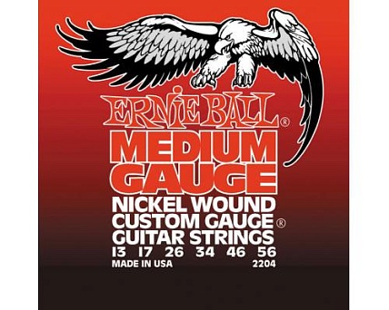 Ernie Ball 2204