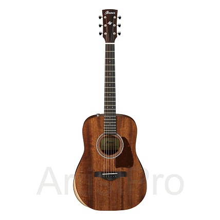 IBANEZ AW54JR-OPN