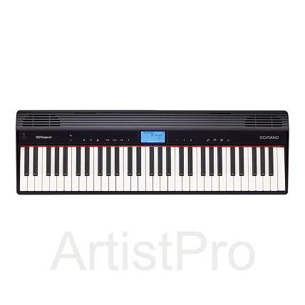 Roland GO-61P