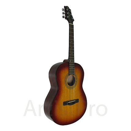 Greg Bennett ST91/BS