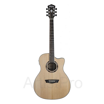 Washburn AG40CE