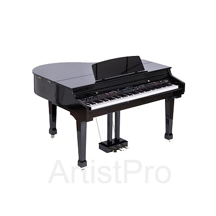 Orla 438PIA0631 Grand 500 Black 