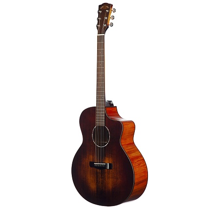 Meridaextrema DG20MFCS