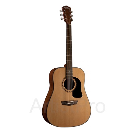 Washburn AF5