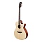 Tyma TG-1 фото 2
