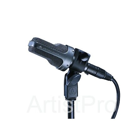 Audio-Technica AE3000