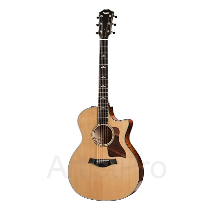 TAYLOR 110ce 100 Series
