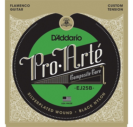 D'Addario EJ25B